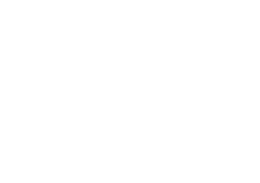 Stella Logo